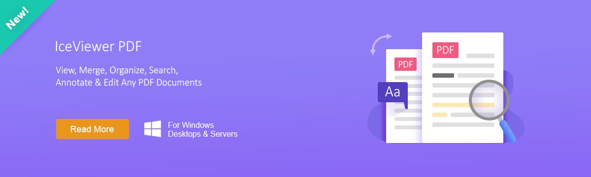 Read more about IceViewer PDF!