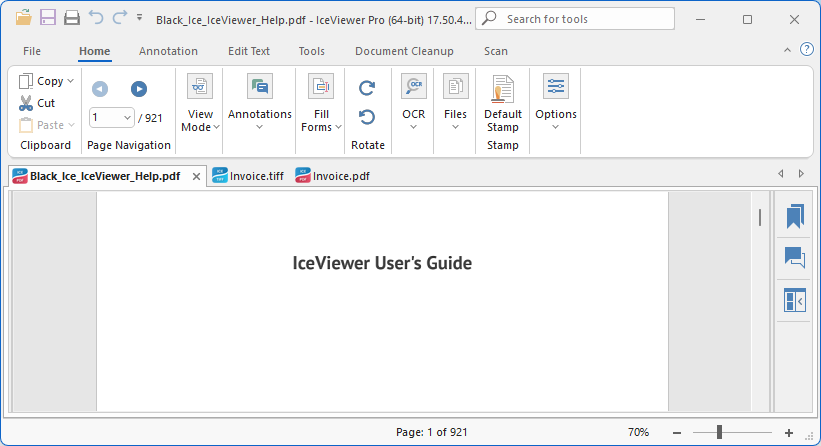 Black Ice Software
